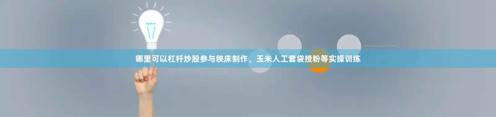 哪里可以杠杆炒股参与秧床制作、玉米人工套袋授粉等实操训练