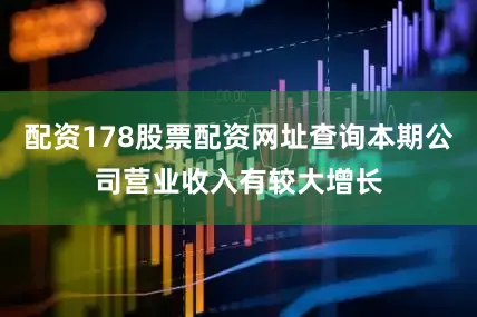 配资178股票配资网址查询本期公司营业收入有较大增长