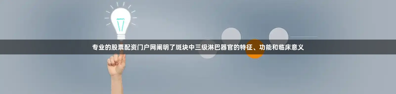 专业的股票配资门户网阐明了斑块中三级淋巴器官的特征、功能和临床意义