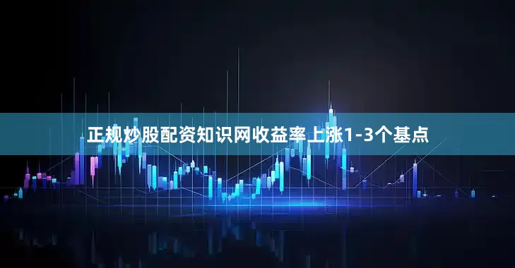 正规炒股配资知识网收益率上涨1-3个基点